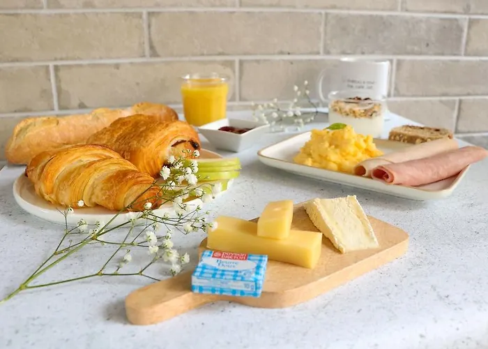 Appart'city Confort Cite Des Congres Nantes